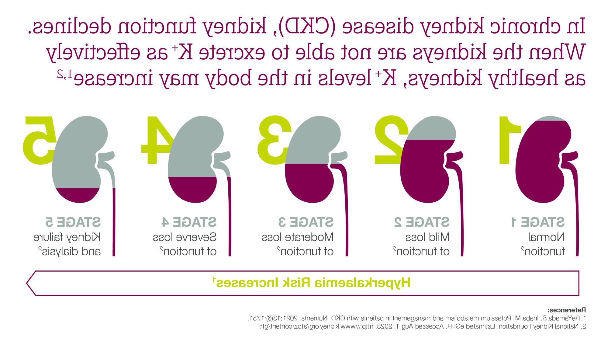 Graphic that explains the five stages of CKD